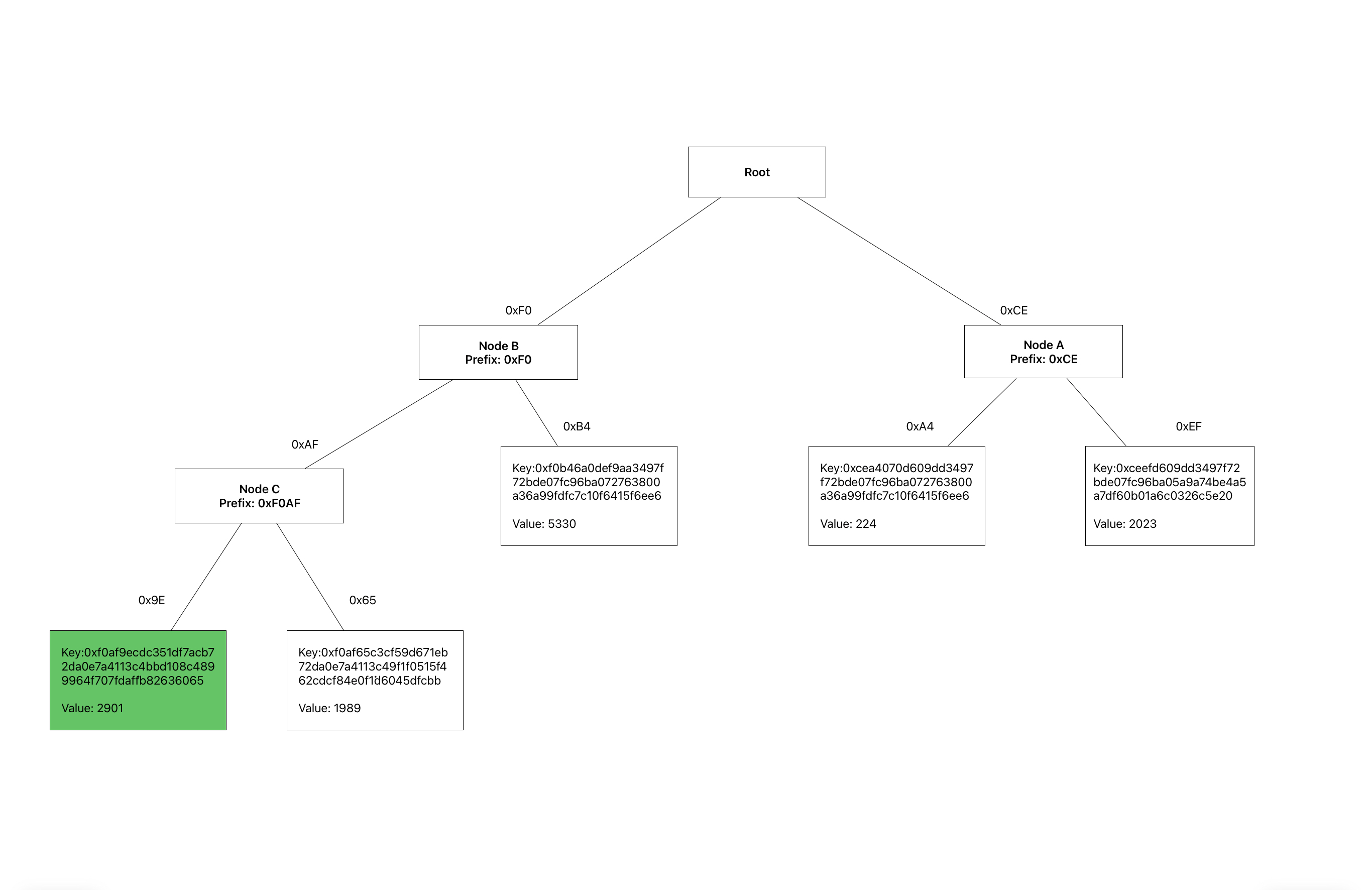 A simple verkle tree with k-arity of 256.